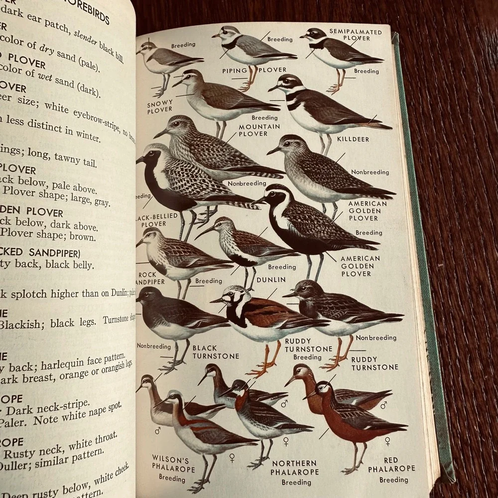 A Field Guide to the Birds by Roger Tory Peterson Teal Hardcover Vintage Book
